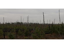 IMG 20211030 115909.jpg