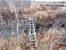 IMG 20211030 104055.jpg