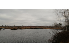 IMG 20211030 104447.jpg