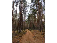 IMG 20211023 110644-01.jpeg