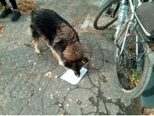 20211023 ��̣��� ��� 102248.jpg