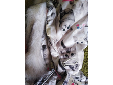 IMG 20210924 142617 - �����.jpg