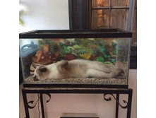 �������������� ...