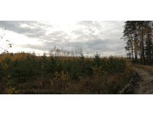 IMG 20211016 094412.jpg