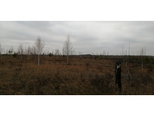 IMG 20211030 120208.jpg