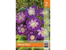 118,3 ���. ��������� ������ ��� (� �������� 2 ��.) �������� 3 ��..jpeg