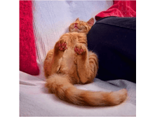 ����� - ����� � �������!