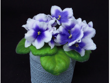 ��-������ ��������.jpg