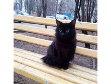 �������?