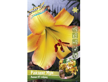 112,9 ���. ����� ������� ��� (� �������� 2 ��.) �������� 1 ��..jpeg