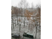 2021 11 ������