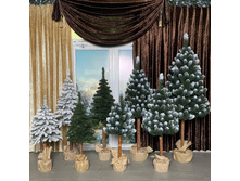 258038494 608744617241292 6524538735133545044 n.jpg