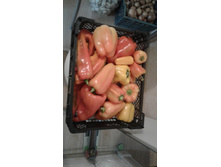 ����� 17 ���� 2021