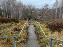 B0ec58f95c3c662e6fae5d9129fb81a66eb5fcc2 727.jpg.webp-portal.jpg