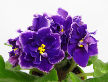 ��-������ ���������.jpg