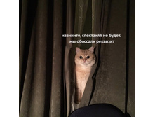 ��������, ��������� �� �����. �� �������� ��������.