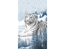 ���� ������.jpeg