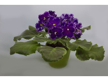 ��-����� ����.jpg