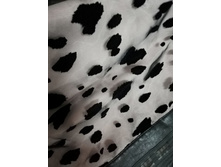 ����������� viber 2021-11-18 15-07-22-373.jpg