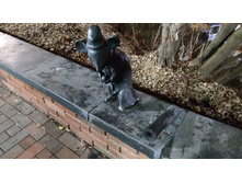 255775007-img 20211101 202841 2.jpg