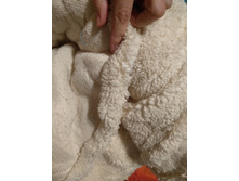 ����� ����