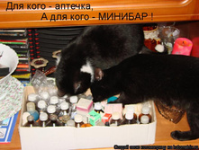 ��� ���� - �������, � ��� ���� - �������!