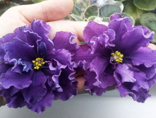 ��-������ �1.jpg