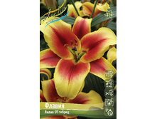 101,4 ���. ����� ������ 18-20 (� �������� 1 ��.) �������� 3 ��..jpeg