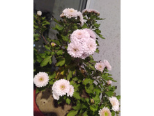 IMG 20211102 211841.jpg