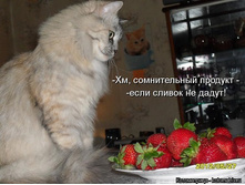 ��, ������������ ������� ... ���� ������ �� �����!