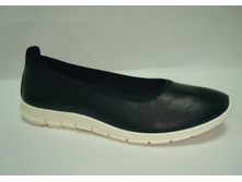 ����� ���� ����������� ����