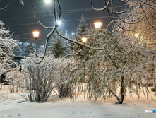 3d0be25252164411ec2ed52138dce2e16bf03e3a 727 485 c.jpg.webp-portal.jpg