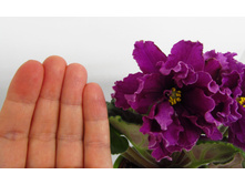 ��-������ �.jpg