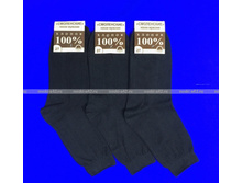 �������� ����� ������� 100% ������ ������ 31������ (6 ���) 17,33�