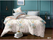 ��� ����� 0611