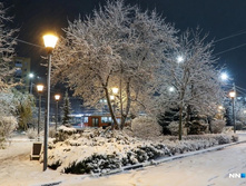 54183d17b3199f7db91df7346762df666cf06e3c 727.jpg.webp-portal.jpg