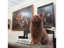 ��������!