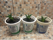 �������� ���������� 30 �. ������ ��������!