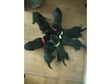 IMG 20210429 182747.jpg