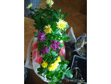IMG 20210323 230853.jpg