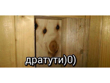 ������� ...