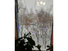 7 ������� 2021