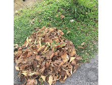 ����� ����!