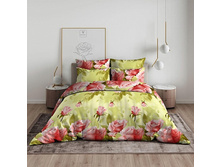 ������� ���� ������ ����.jpeg