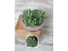 �������� ���������� 60 � ����� � 30 � ���������