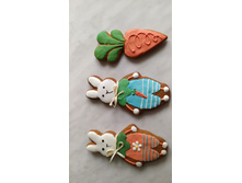 IMG 20210402 094017.jpg