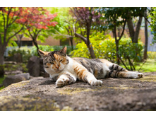 ������� �� ��Σ� ...