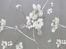 ������� ������ ������