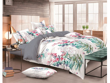 ����� ������� ���2.jpg