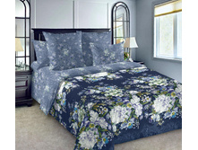 ����� ���� ������� 220 ��